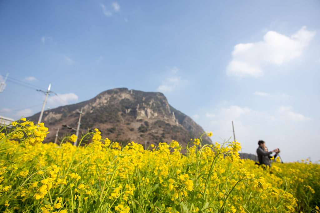 제주 숙소