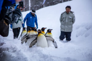 아사히야마 동물원