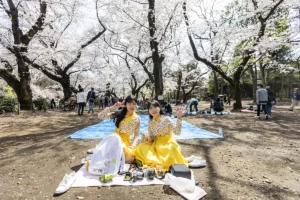 도쿄 벚꽃 명소