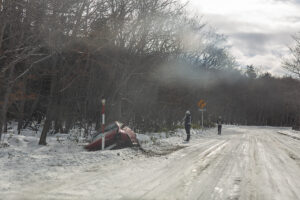 해외여행자보험