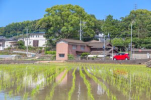 규슈 렌터카 여행