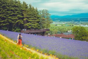 북해도 여름 여행