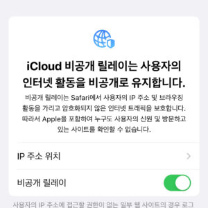 VPN 우회