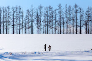 삿포로 비에이 버스투어