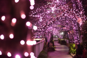 도쿄 일루미네이션