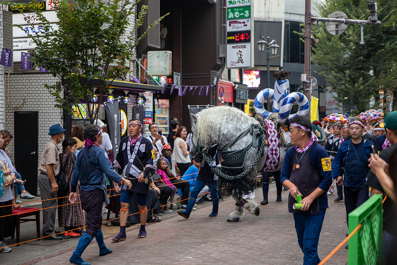 藤崎八旛宮例大祭