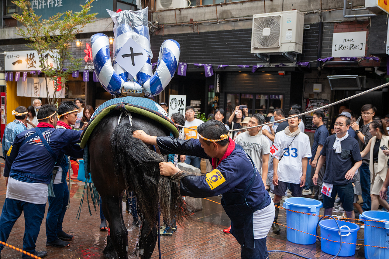 藤崎八旛宮例大祭