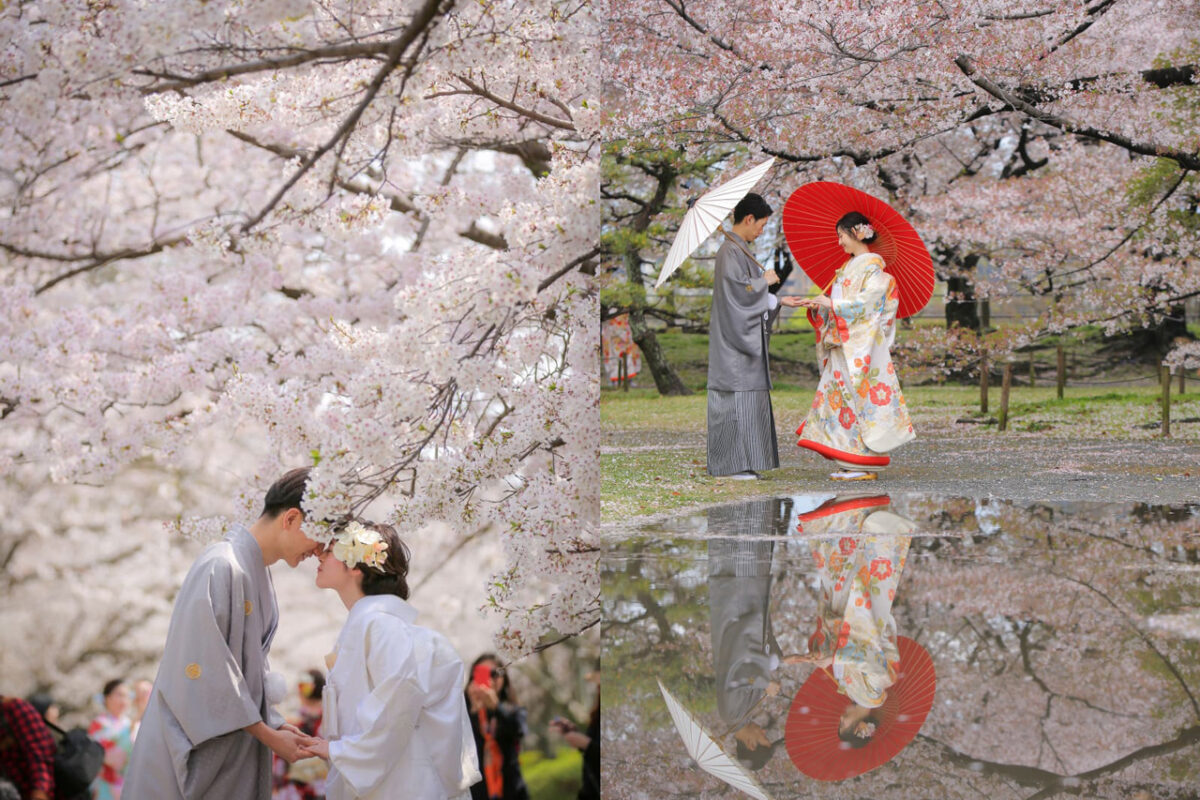 후쿠오카 벚꽃 명소