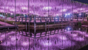 아시카가 플라워 파크