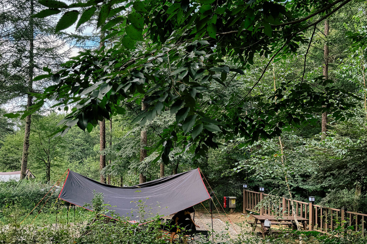 화천숲속야영장