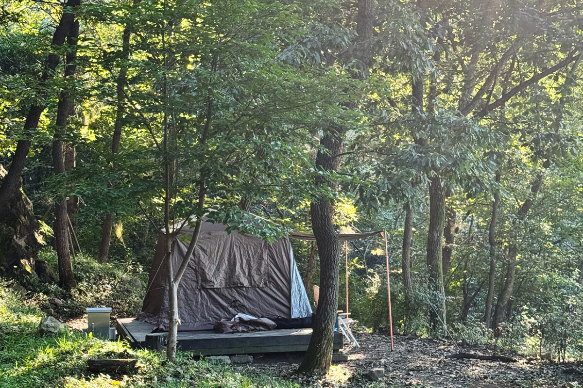 고대산 자연휴양림