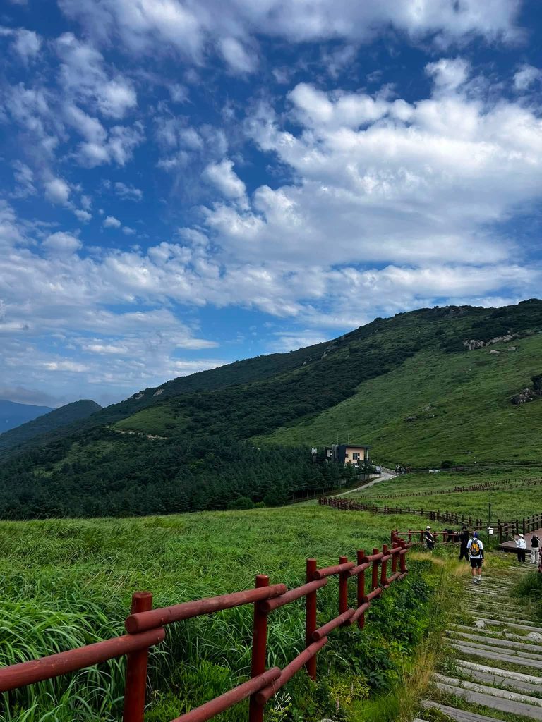 대한민국 억새 명소